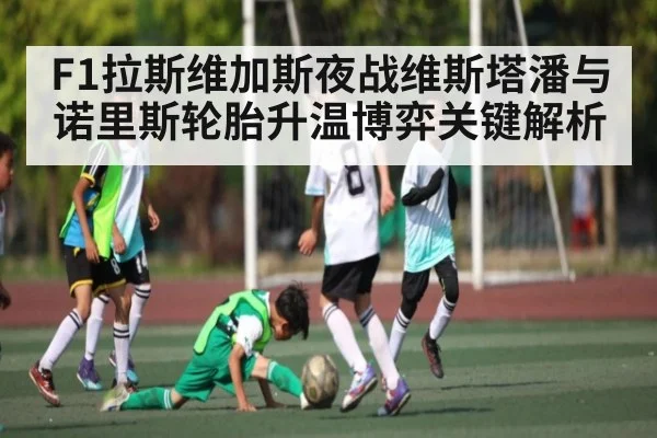 F1拉斯维加斯夜战维斯塔潘与诺里斯轮胎升温博弈关键解析 - leyu